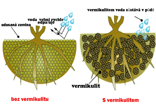 vermikulit