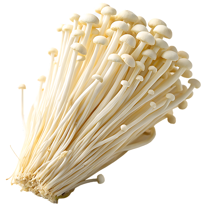 Enoki