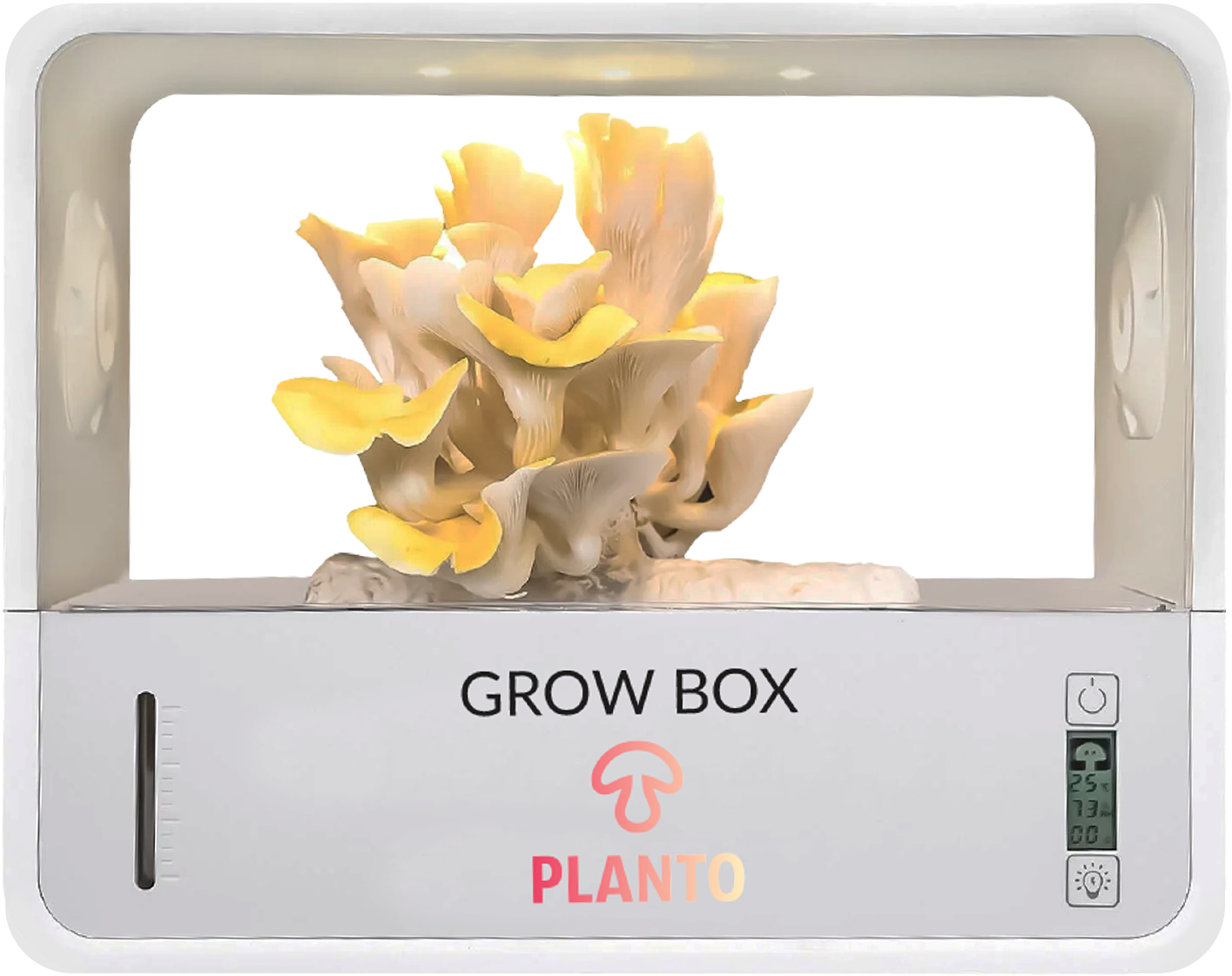Grow Box
