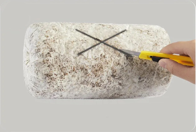 Krok 1 - Nacięcie podłoża