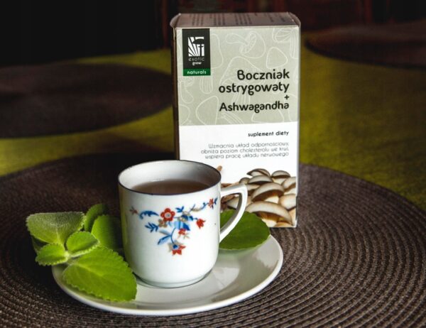 Herbata Boczniak ostrygowaty + Ashwagandha
