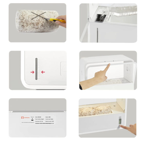 Grow Box do uprawy grzybów – domowy ogródek grzybowy - Image 4