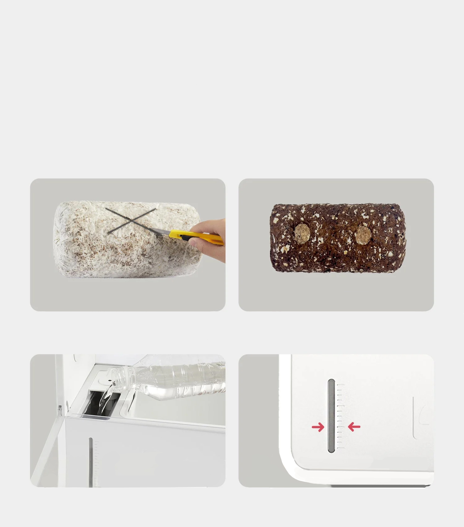 Grow Box do uprawy grzybów – domowy ogródek grzybowy - Image 2