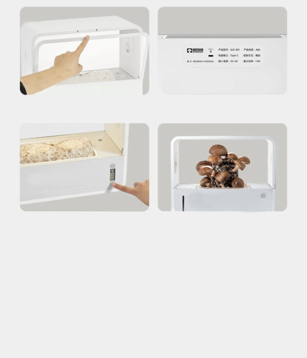 Grow Box do uprawy grzybów – domowy ogródek grzybowy - Image 3