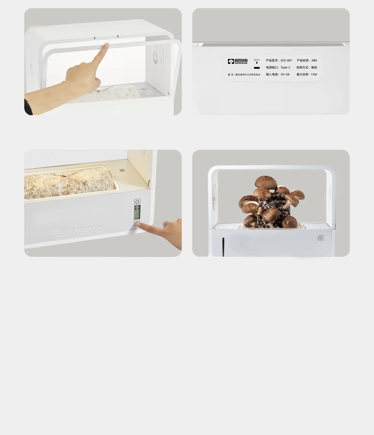 Grow Box do uprawy grzybów – domowy ogródek grzybowy - Image 3