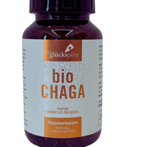 chaga